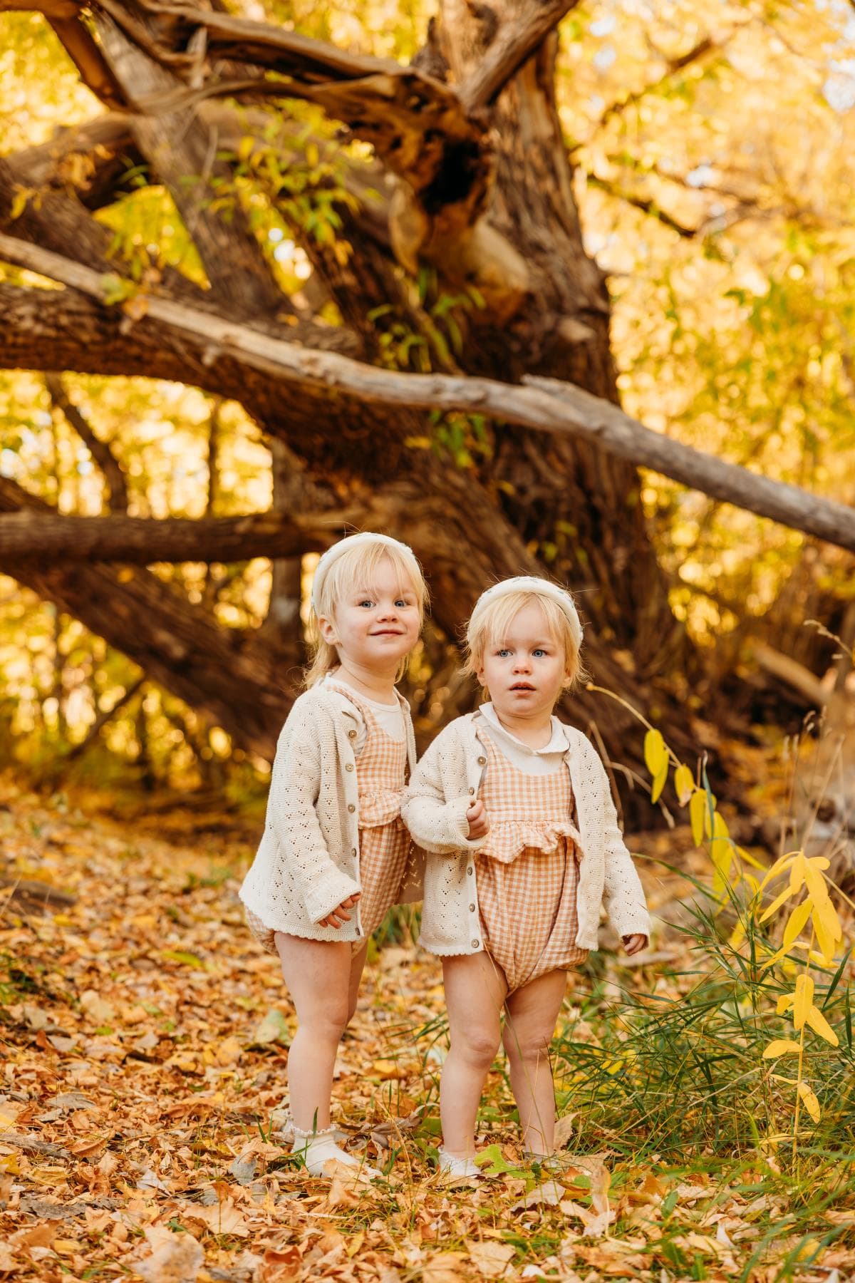 Kids running in field family session Severance Colorado